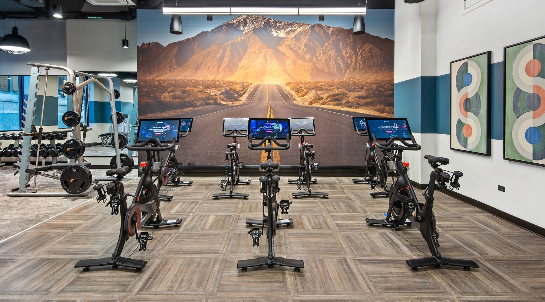Fitness center with free weights, treadmills and ellipticals.